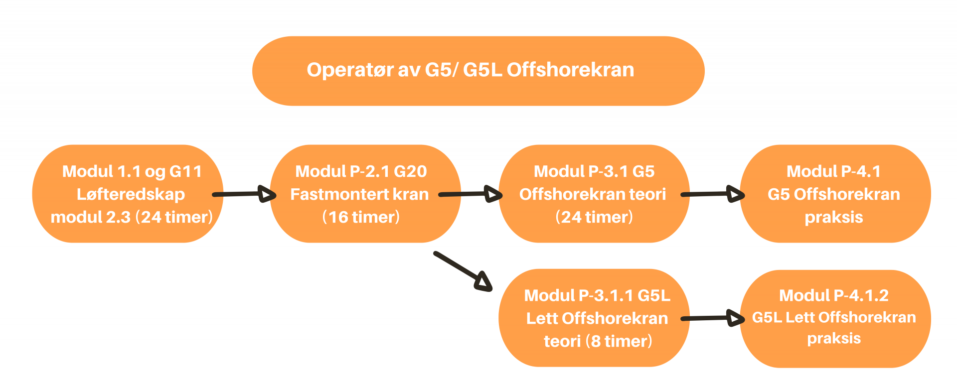 G5 Offshorekran -